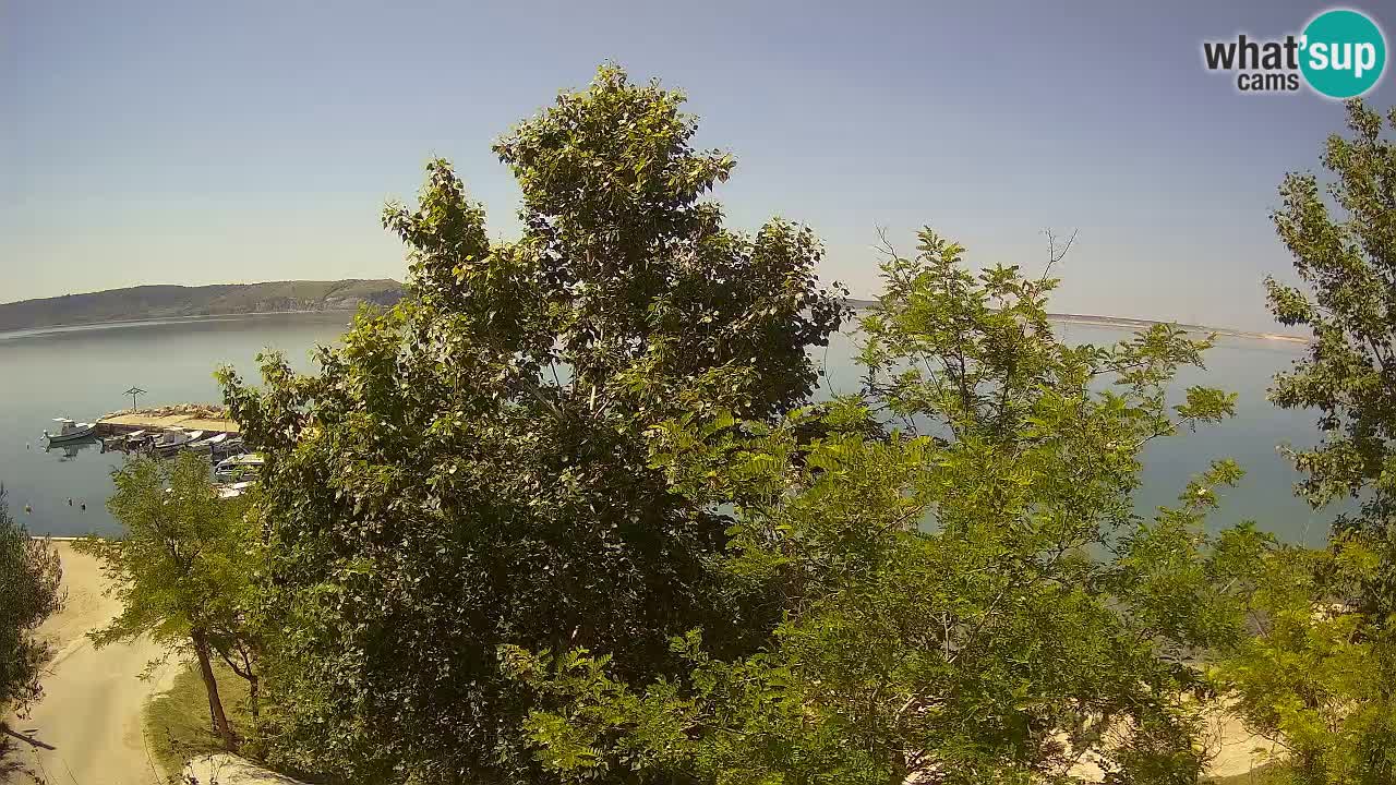Camping Odmoree webcam Ražanac – Dalmazia