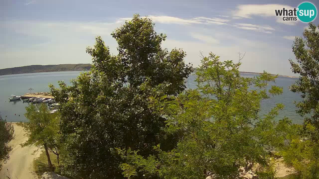 Kamp Odmoree spletna kamera Ražanac – Dalmacija
