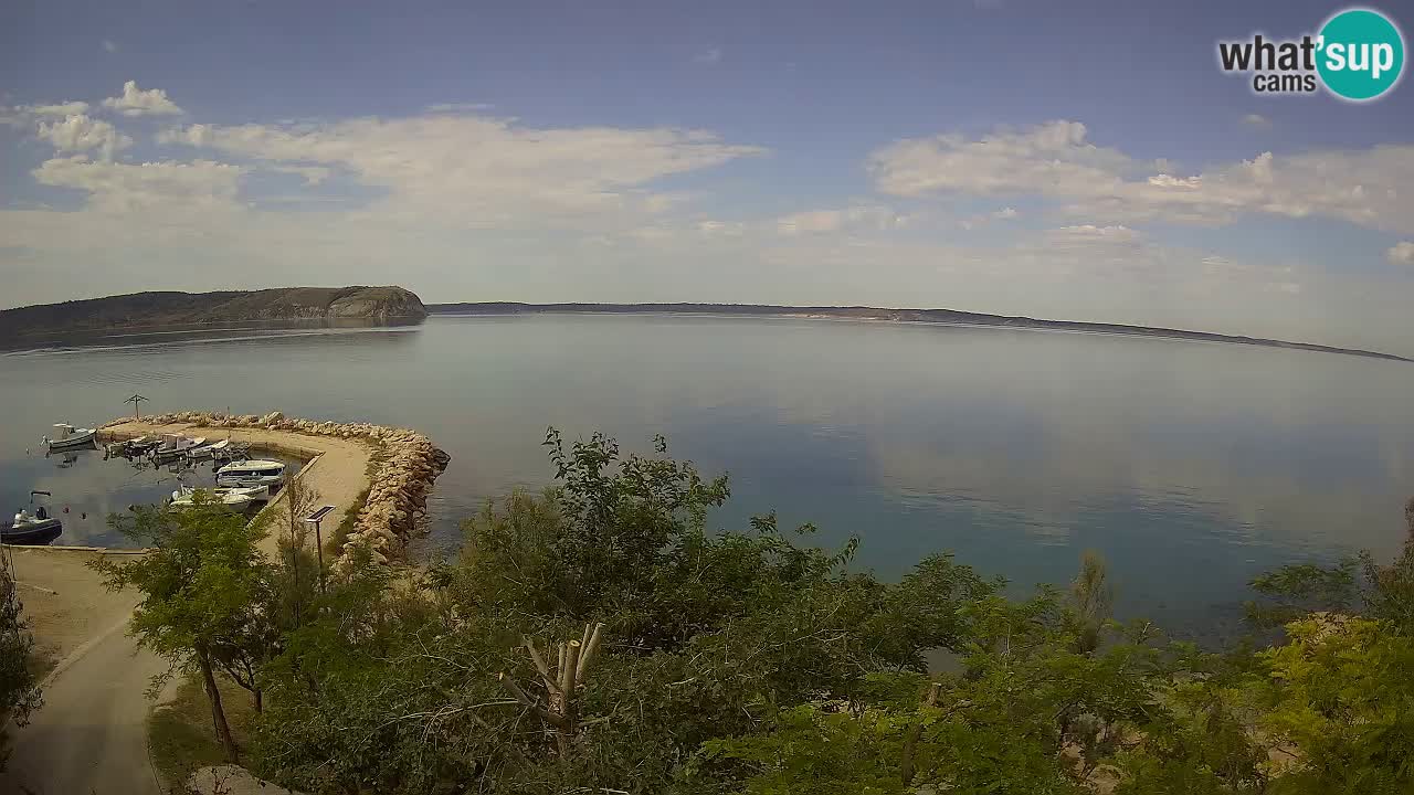 Kamp Odmoree spletna kamera Ražanac – Dalmacija