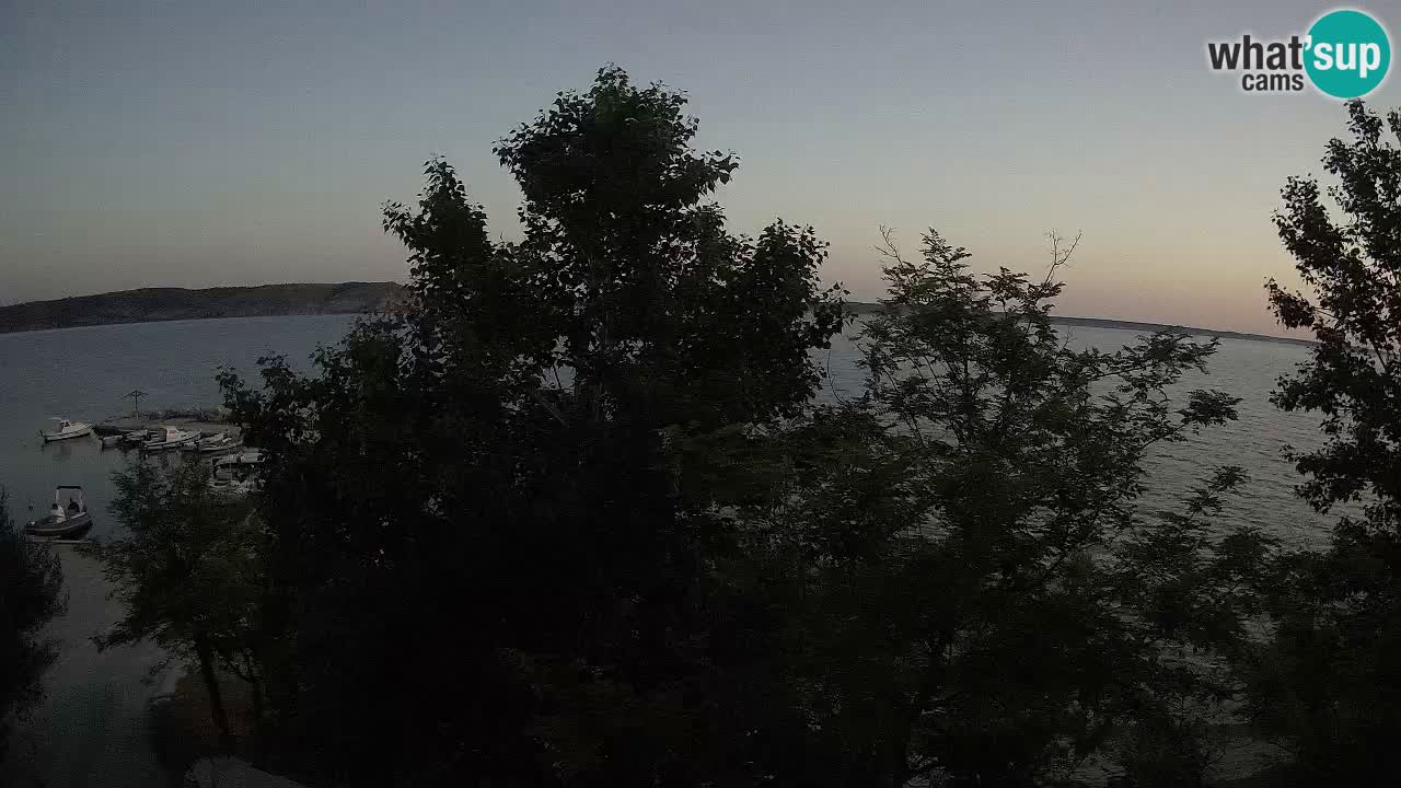 Kamp Odmoree spletna kamera Ražanac – Dalmacija
