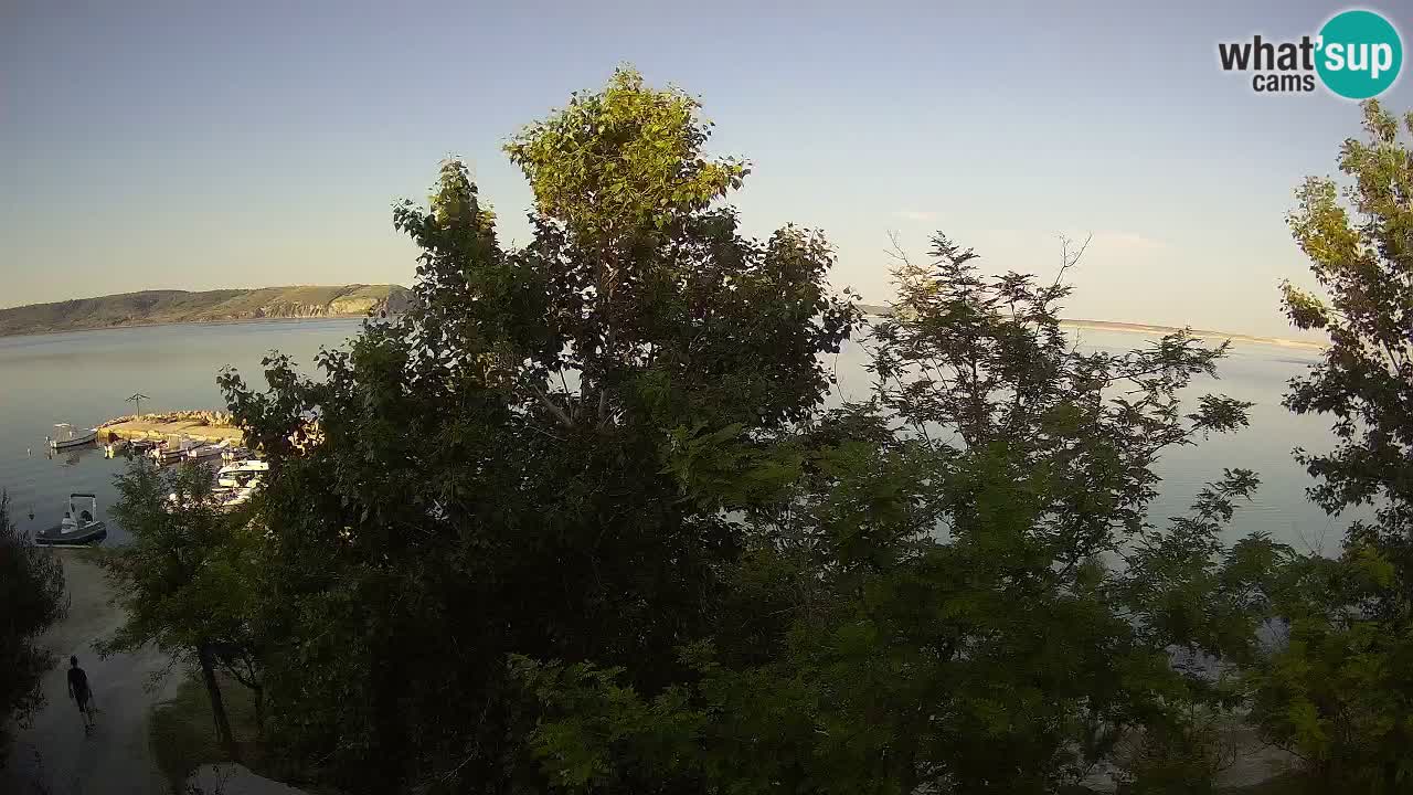 Camping Odmoree camera en vivo Ražanac – Dalmacia