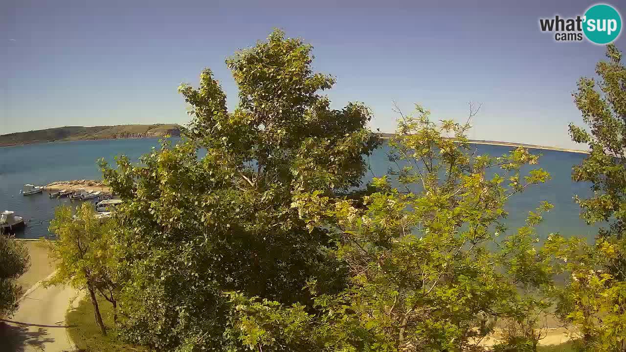 Kamp Odmoree spletna kamera Ražanac – Dalmacija