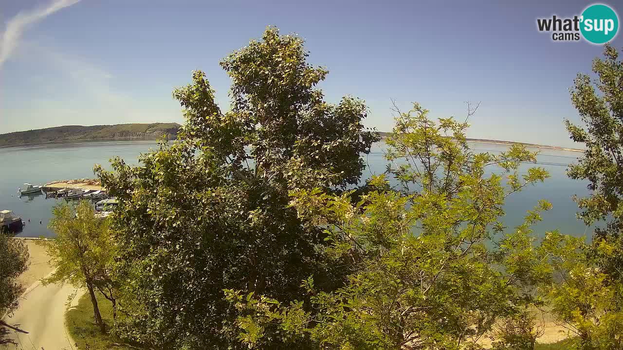 Camping Odmoree webcam Ražanac – Dalmazia