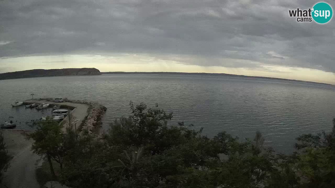 Kamp Odmoree spletna kamera Ražanac – Dalmacija