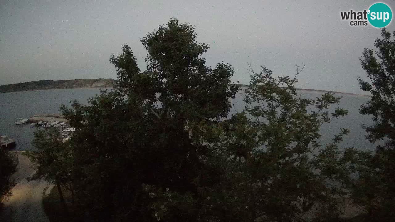 Kamp Odmoree spletna kamera Ražanac – Dalmacija
