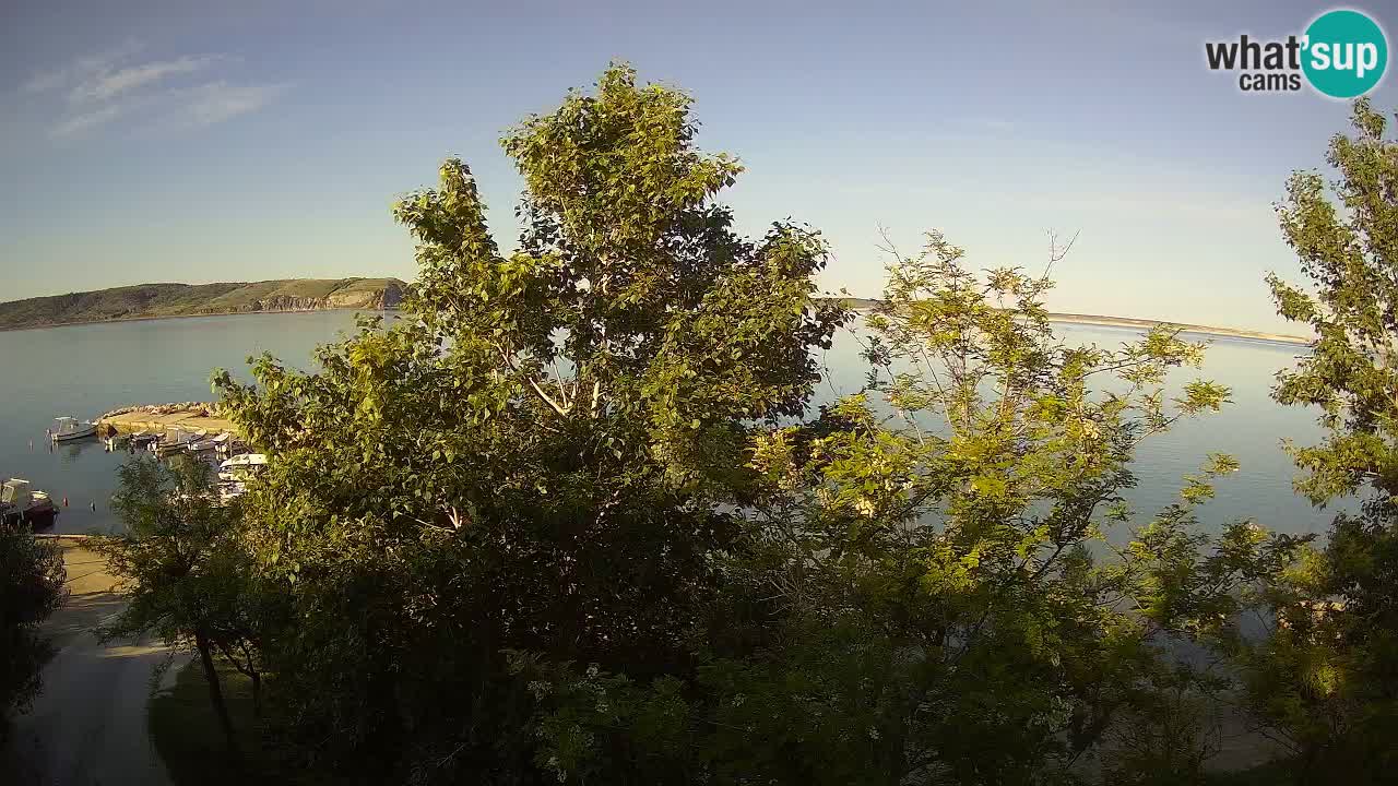 Camping Odmoree camera en vivo Ražanac – Dalmacia