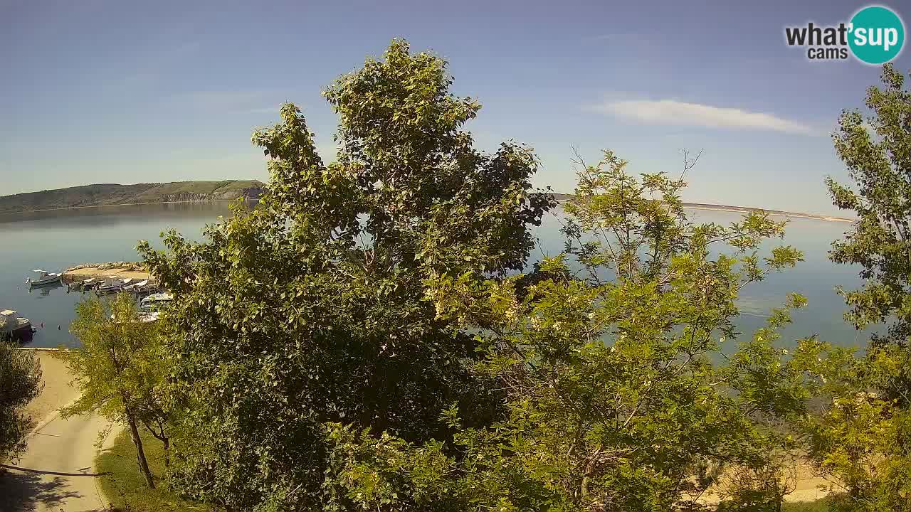 Camping Odmoree webcam Ražanac – Dalmatia
