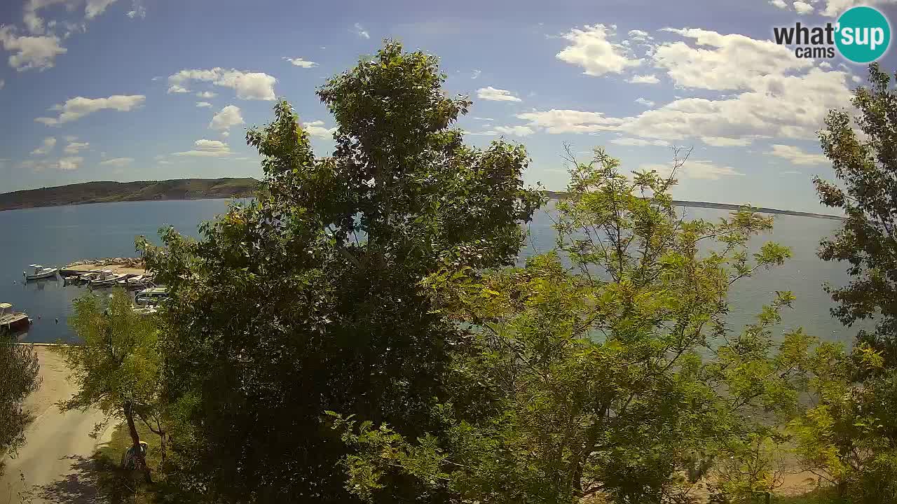 Camping Odmoree webcam Ražanac – Dalmazia