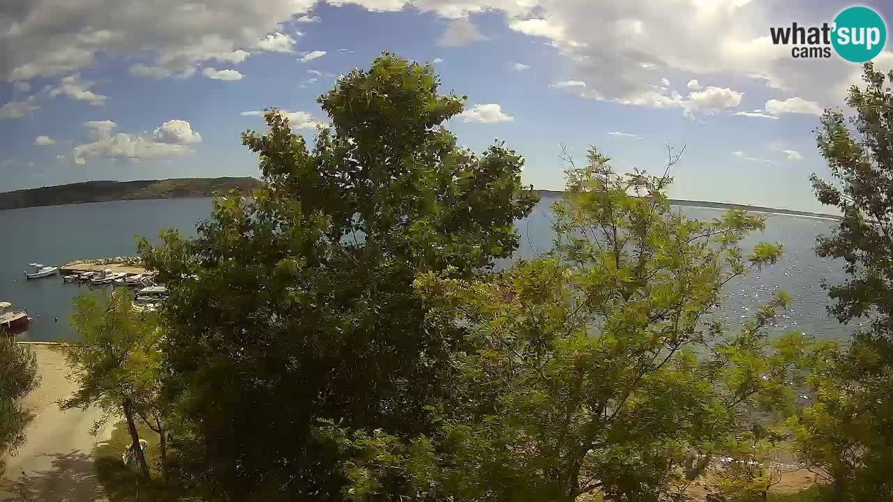 Camping Odmoree camera en vivo Ražanac – Dalmacia