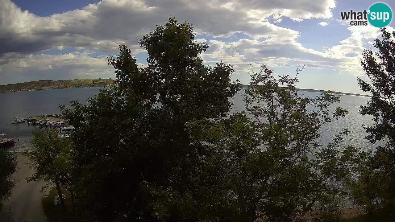 Camping Odmoree camera en vivo Ražanac – Dalmacia