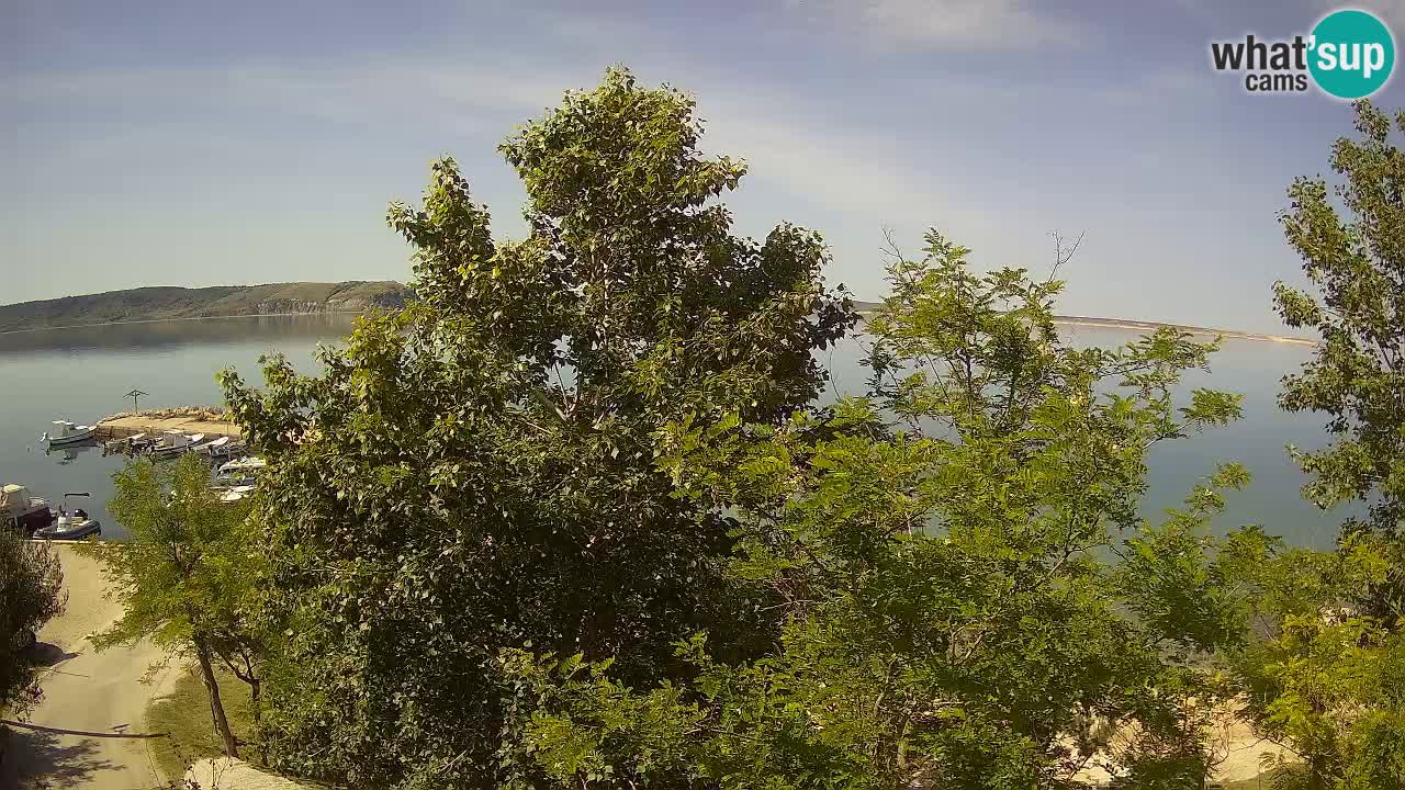 Camping Odmoree web kamera Ražanac – Dalmacija