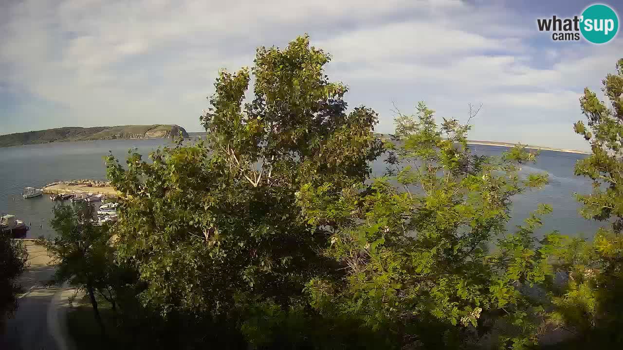 Camping Odmoree webcam Ražanac – Dalmatia