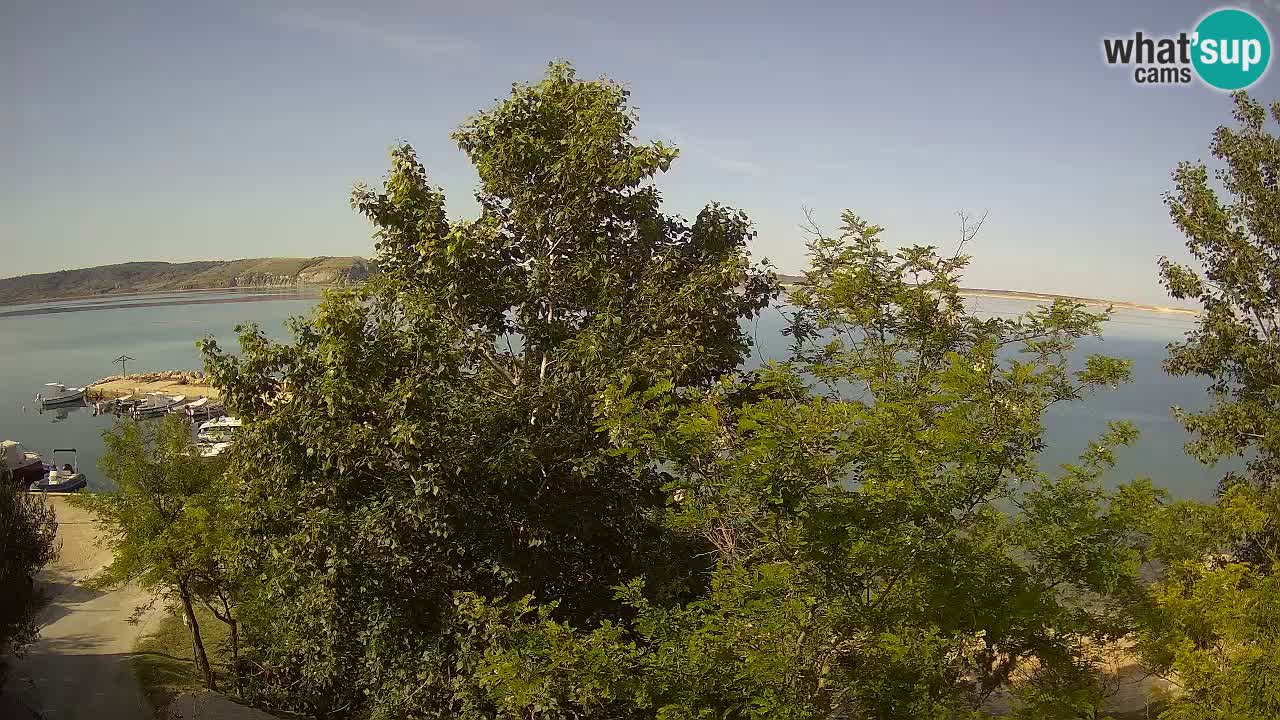 Camping Odmoree webcam Ražanac – Dalmatia