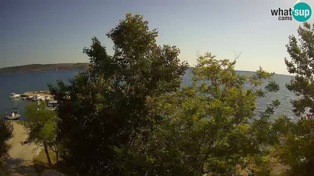 Kamp Odmoree spletna kamera Ražanac – Dalmacija