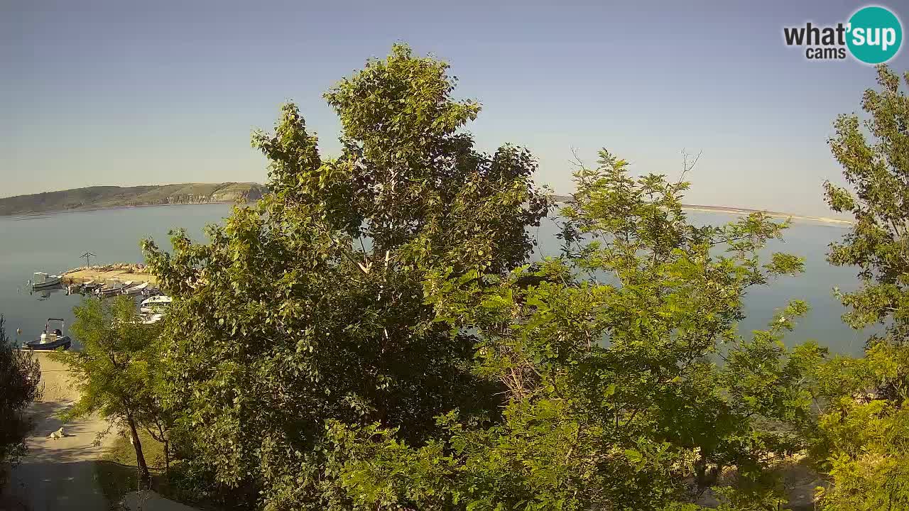 Camping Odmoree camera en vivo Ražanac – Dalmacia