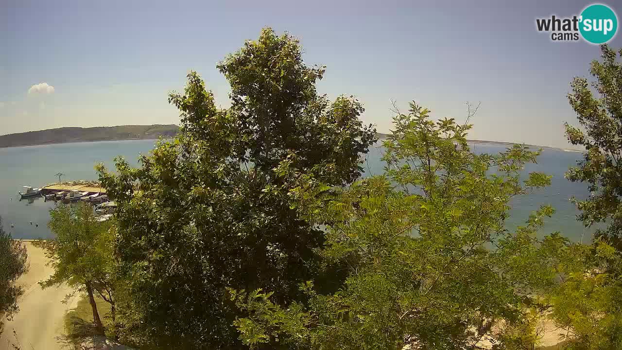 Camping Odmoree live cam Ražanac – Dalmatie