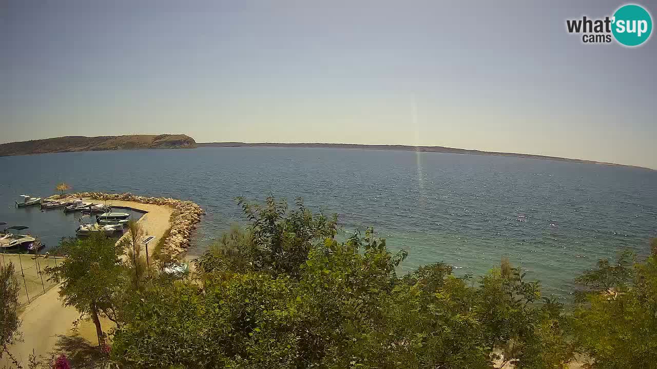 Kamp Odmoree spletna kamera Ražanac – Dalmacija