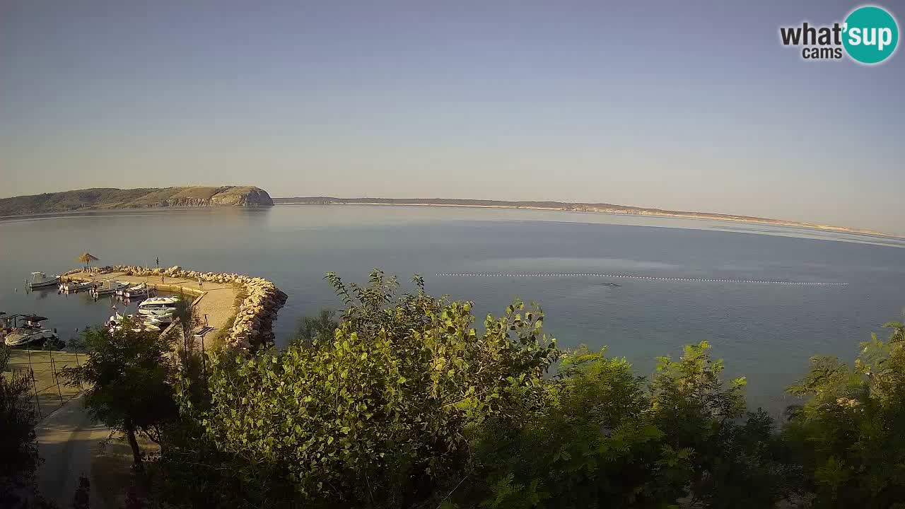 Kamp Odmoree spletna kamera Ražanac – Dalmacija