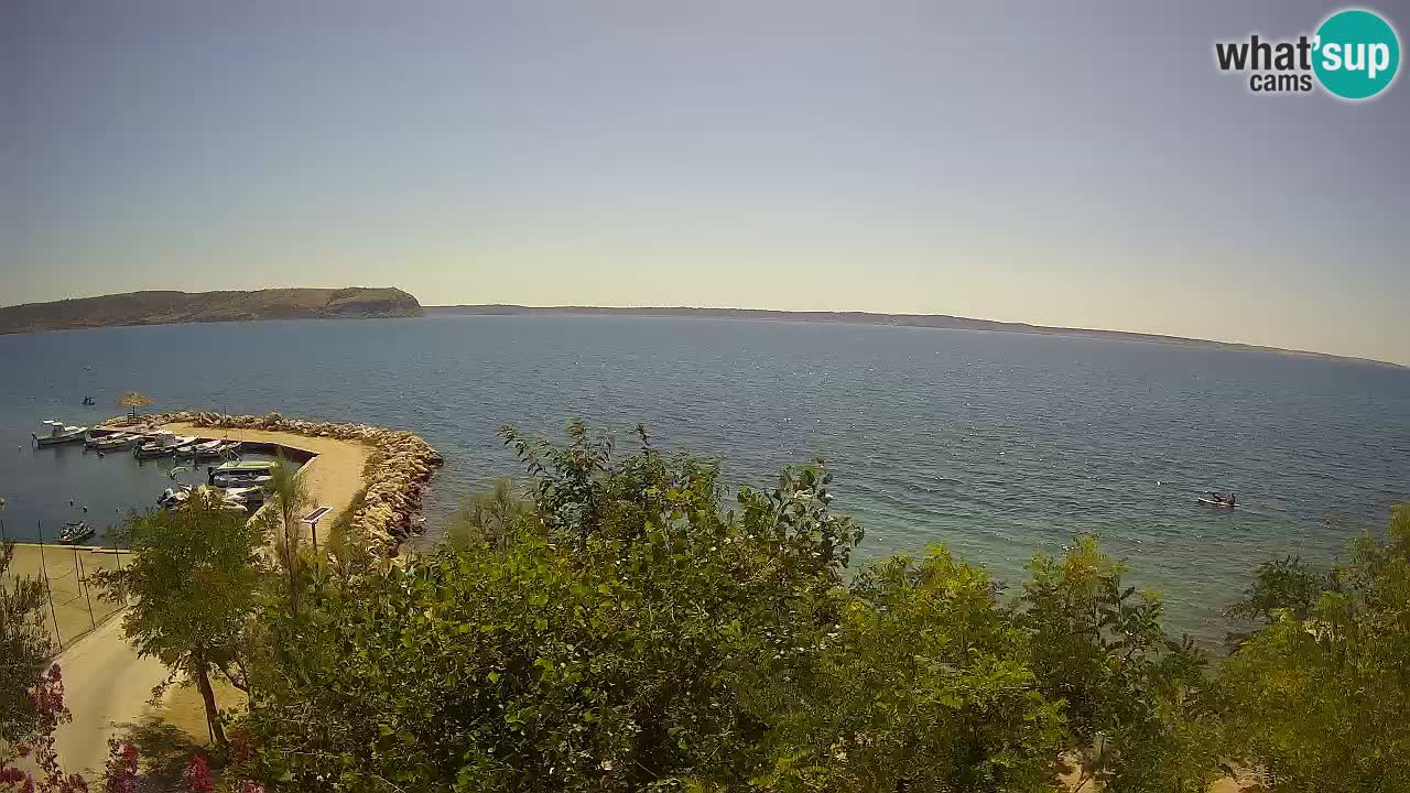 Kamp Odmoree spletna kamera Ražanac – Dalmacija