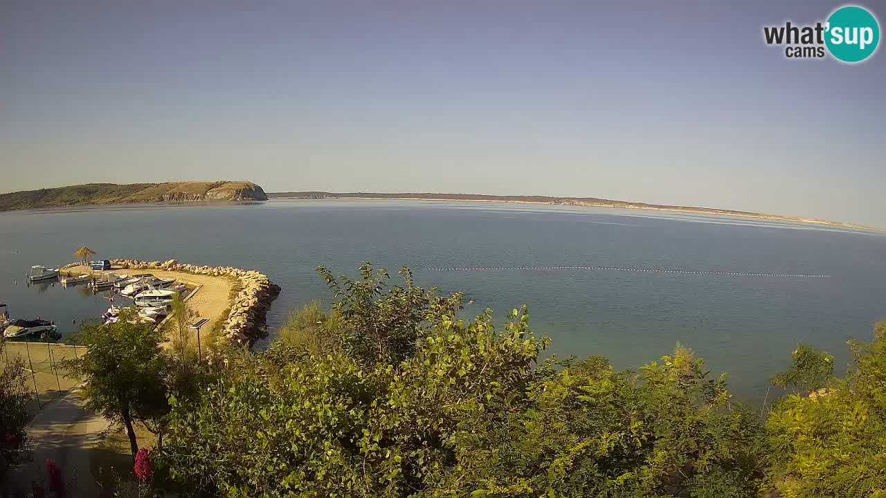 Kamp Odmoree spletna kamera Ražanac – Dalmacija