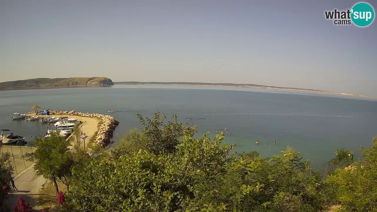 Kamp Odmoree spletna kamera Ražanac – Dalmacija