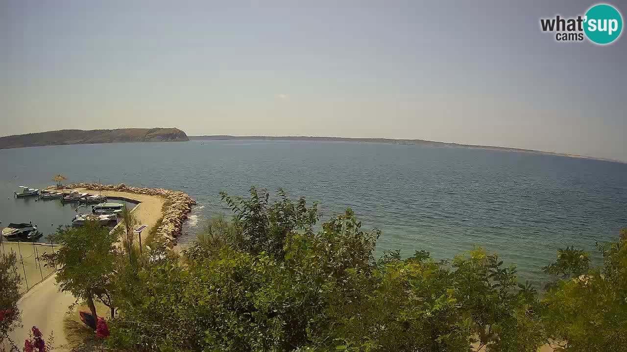 Kamp Odmoree spletna kamera Ražanac – Dalmacija