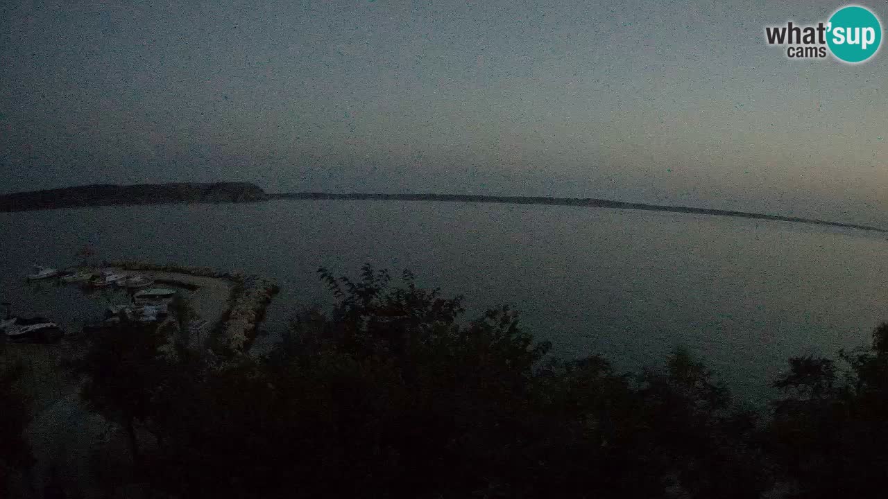 Kamp Odmoree spletna kamera Ražanac – Dalmacija