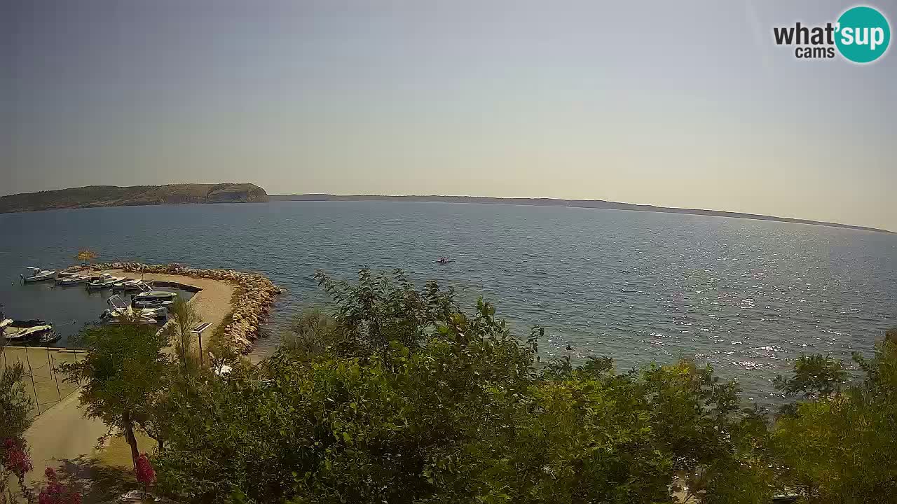 Kamp Odmoree spletna kamera Ražanac – Dalmacija