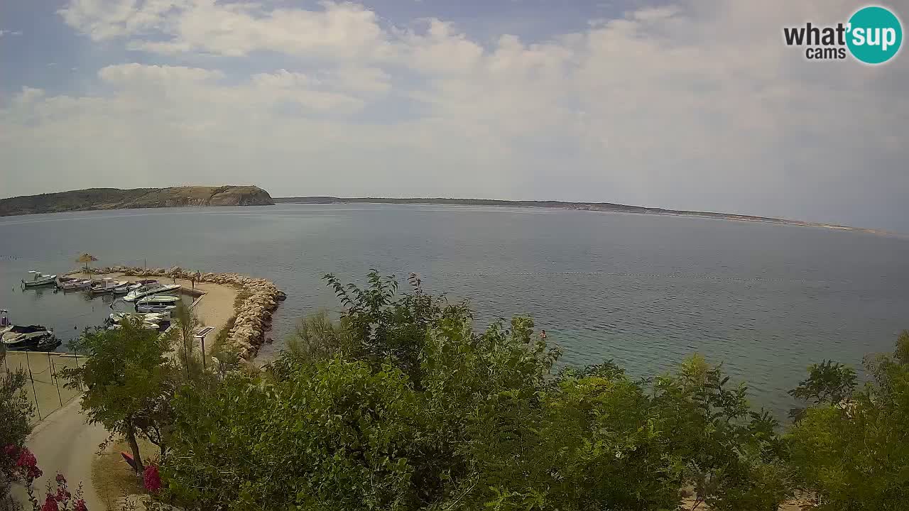 Kamp Odmoree spletna kamera Ražanac – Dalmacija