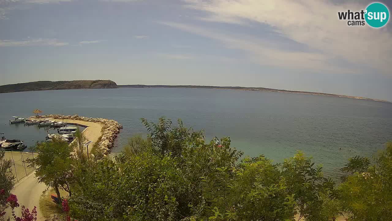 Kamp Odmoree spletna kamera Ražanac – Dalmacija