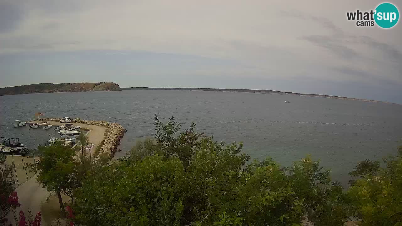 Kamp Odmoree spletna kamera Ražanac – Dalmacija