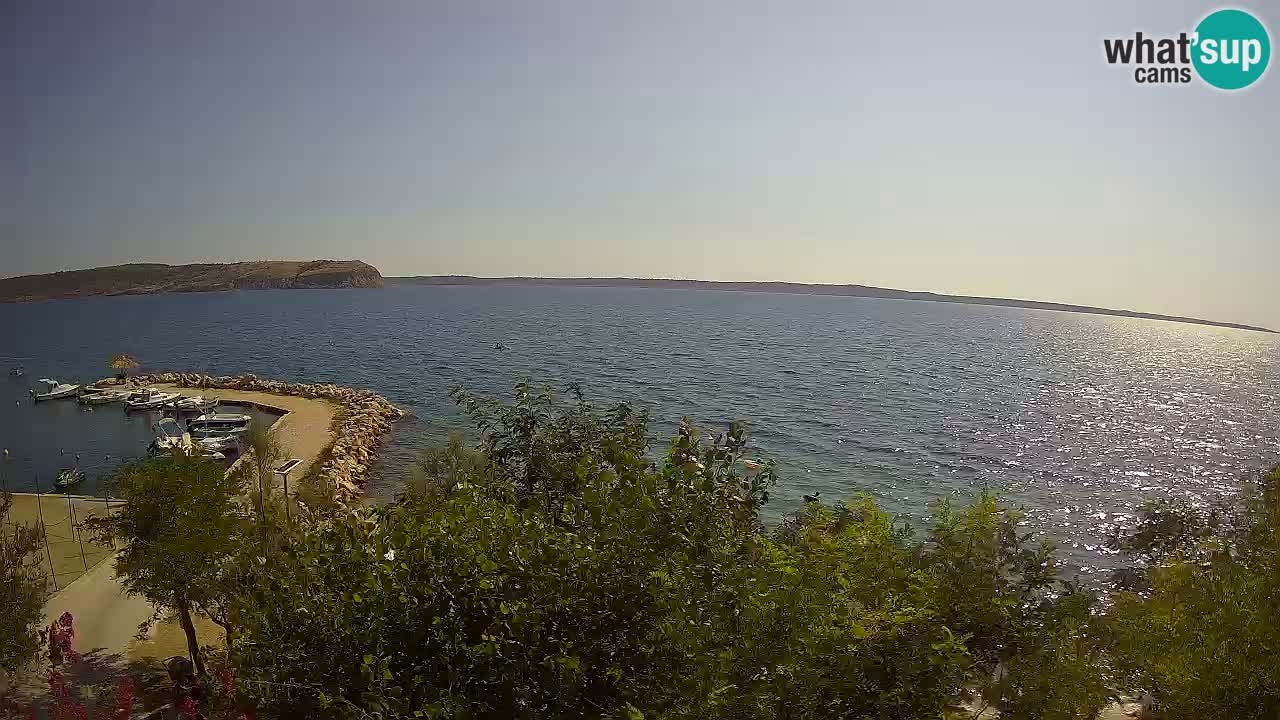 Kamp Odmoree spletna kamera Ražanac – Dalmacija