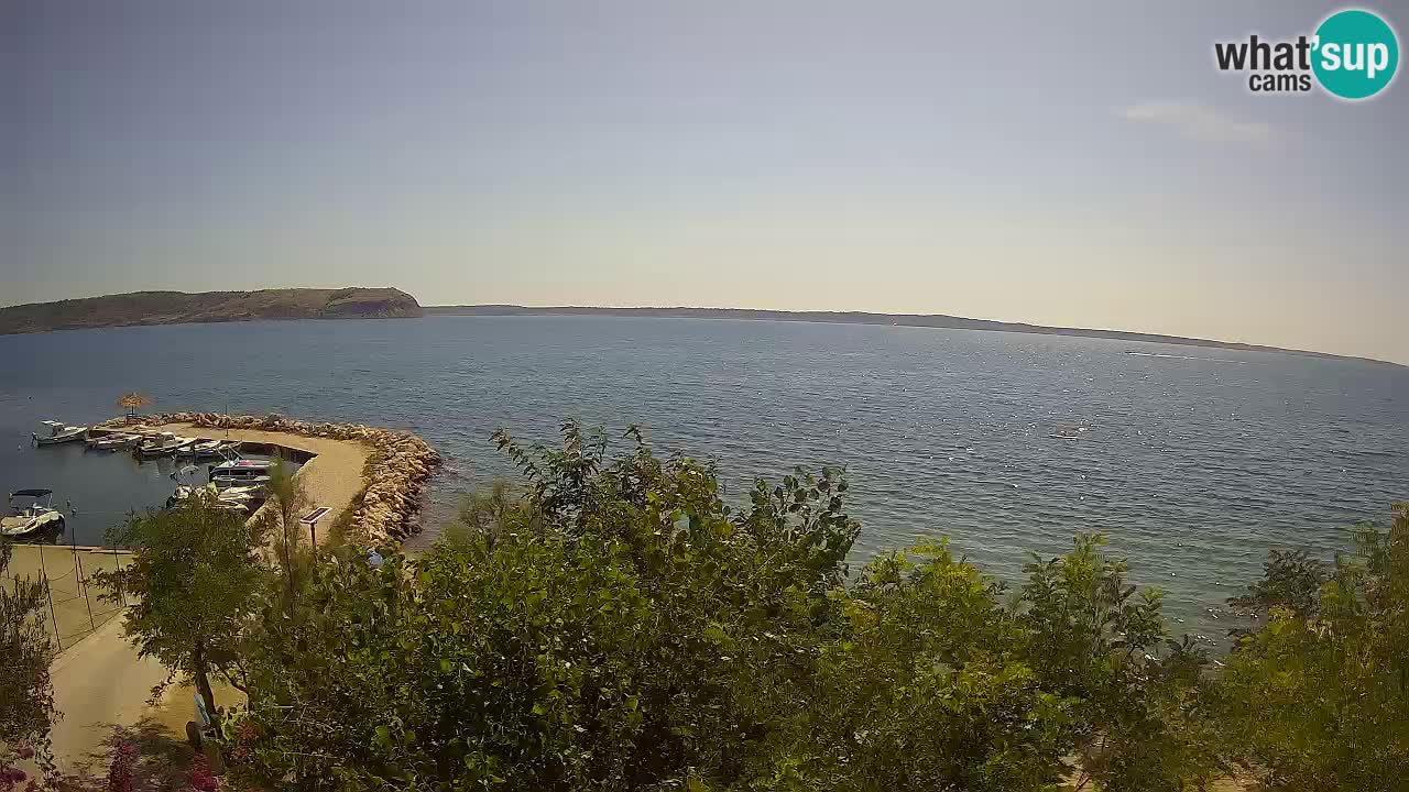Kamp Odmoree spletna kamera Ražanac – Dalmacija
