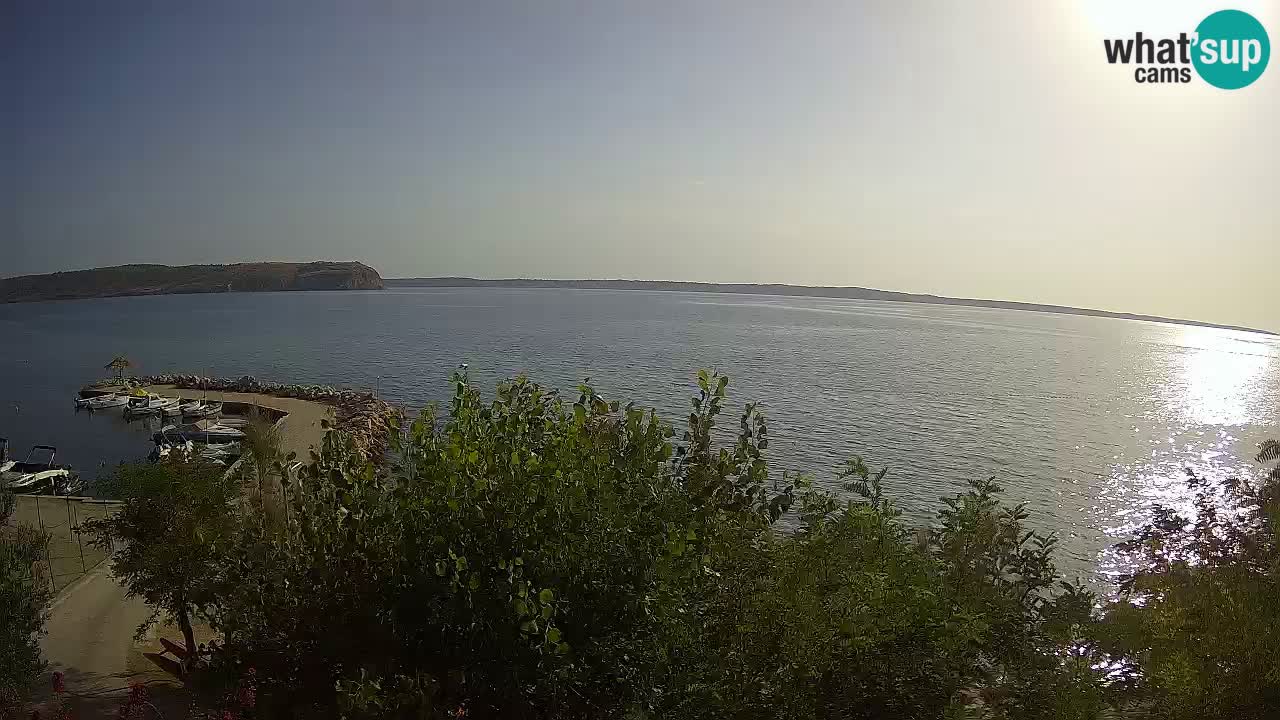 Kamp Odmoree spletna kamera Ražanac – Dalmacija