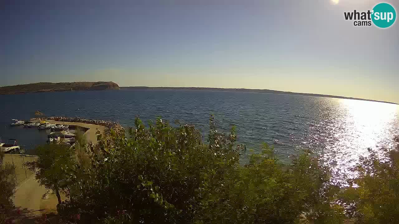 Kamp Odmoree spletna kamera Ražanac – Dalmacija