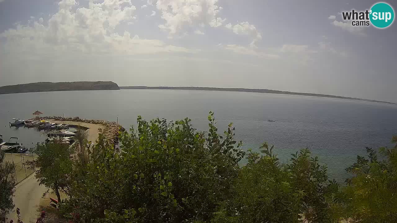 Kamp Odmoree spletna kamera Ražanac – Dalmacija