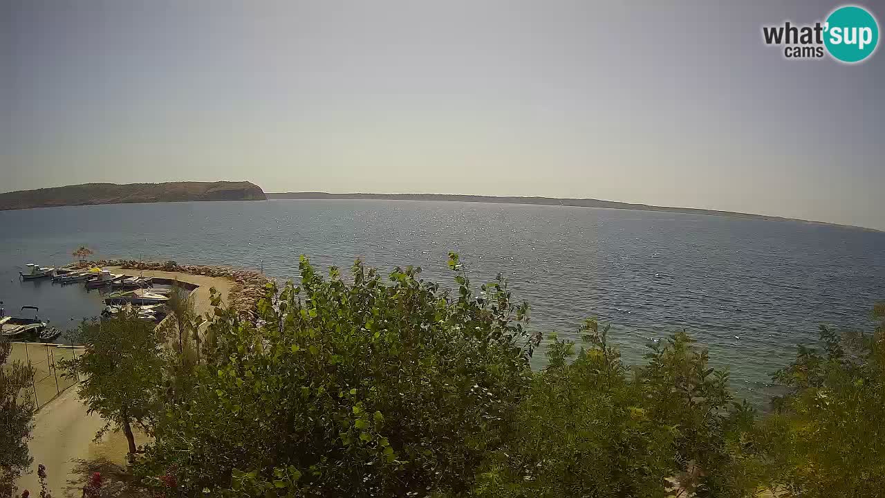Camping Odmoree camera en vivo Ražanac – Dalmacia