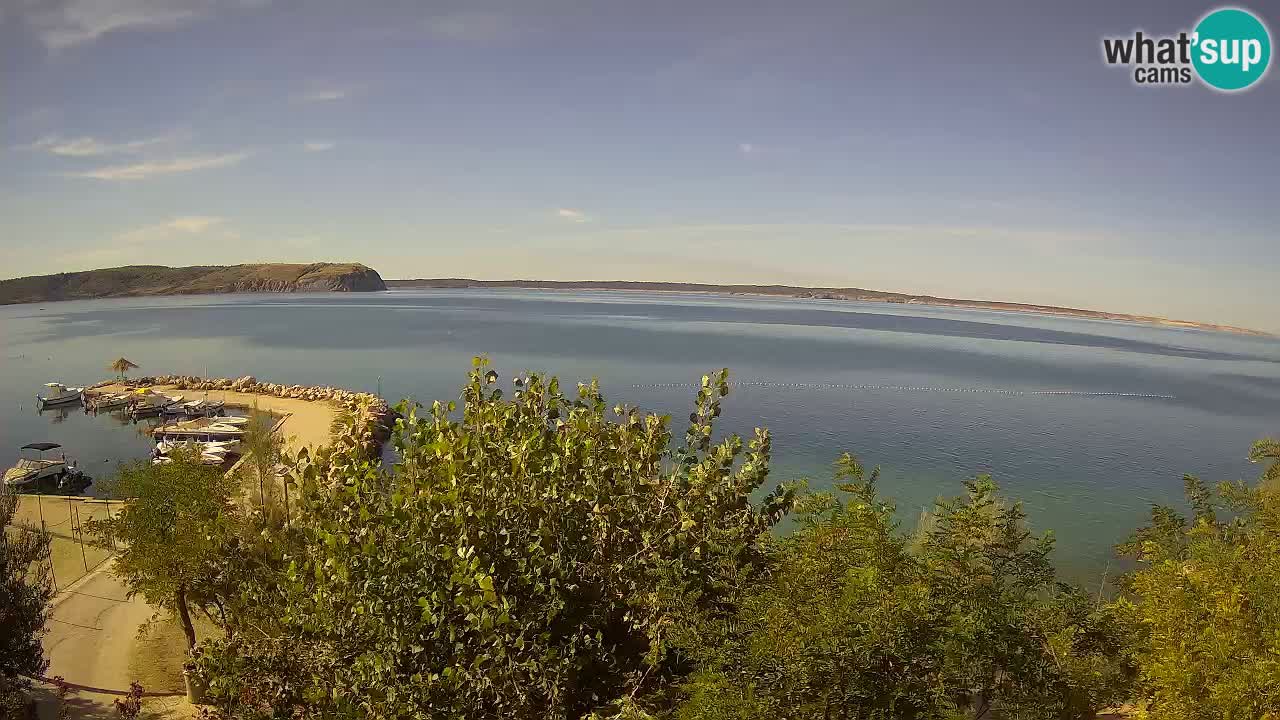 Kamp Odmoree spletna kamera Ražanac – Dalmacija