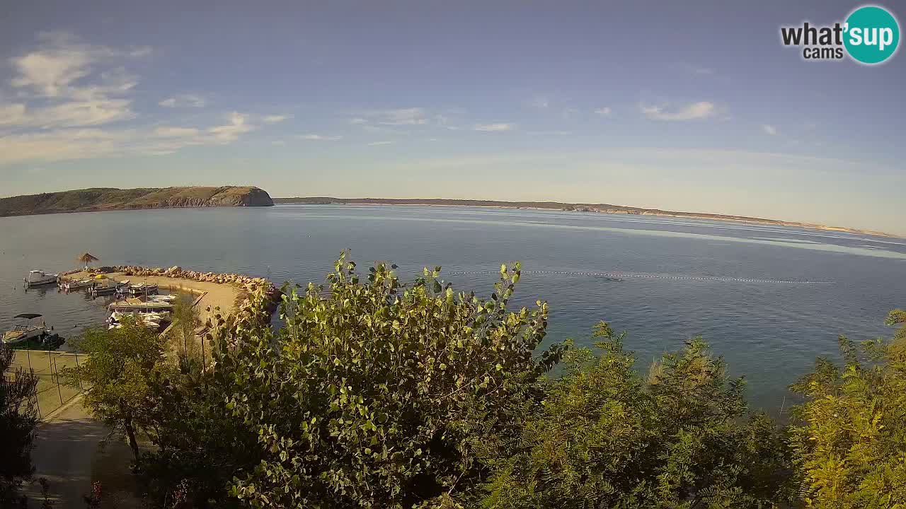 Kamp Odmoree spletna kamera Ražanac – Dalmacija