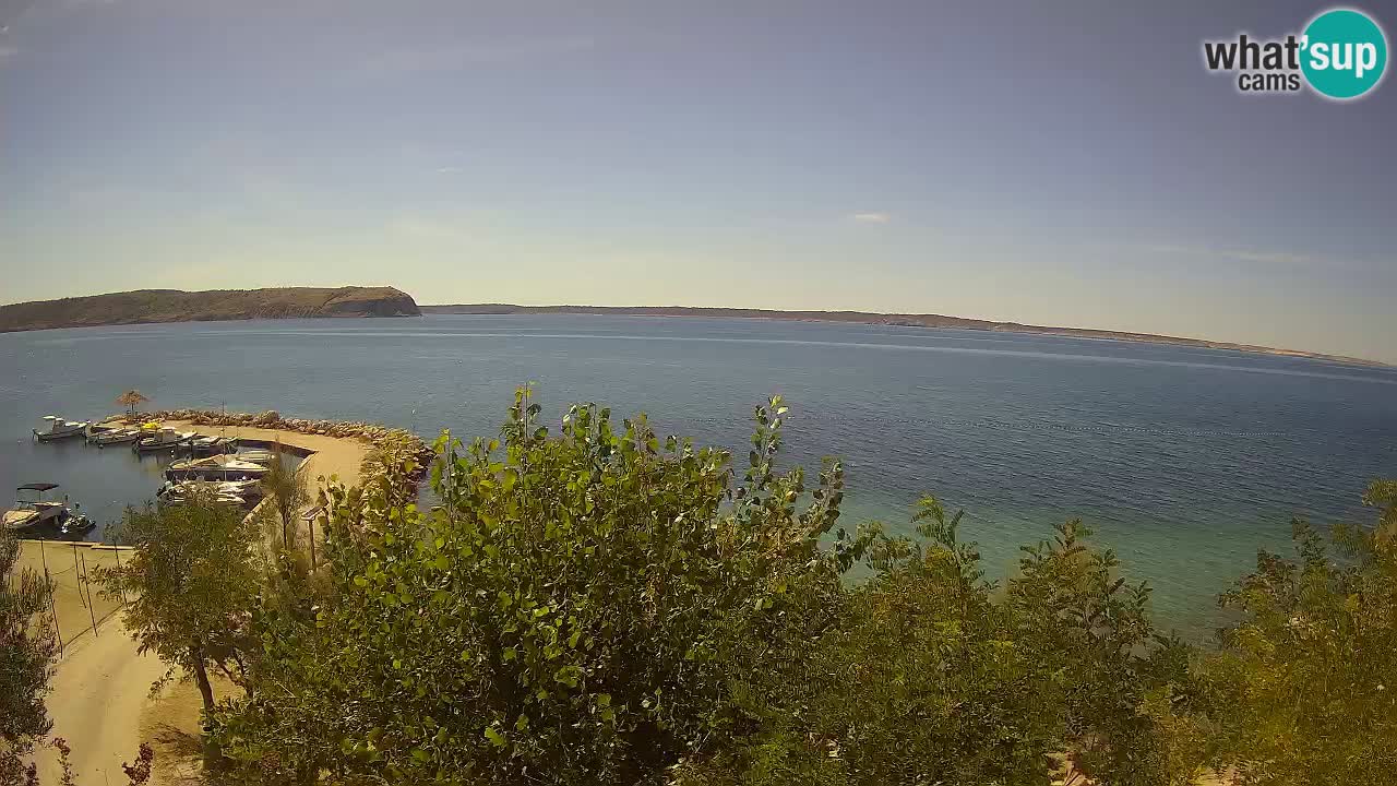 Kamp Odmoree spletna kamera Ražanac – Dalmacija