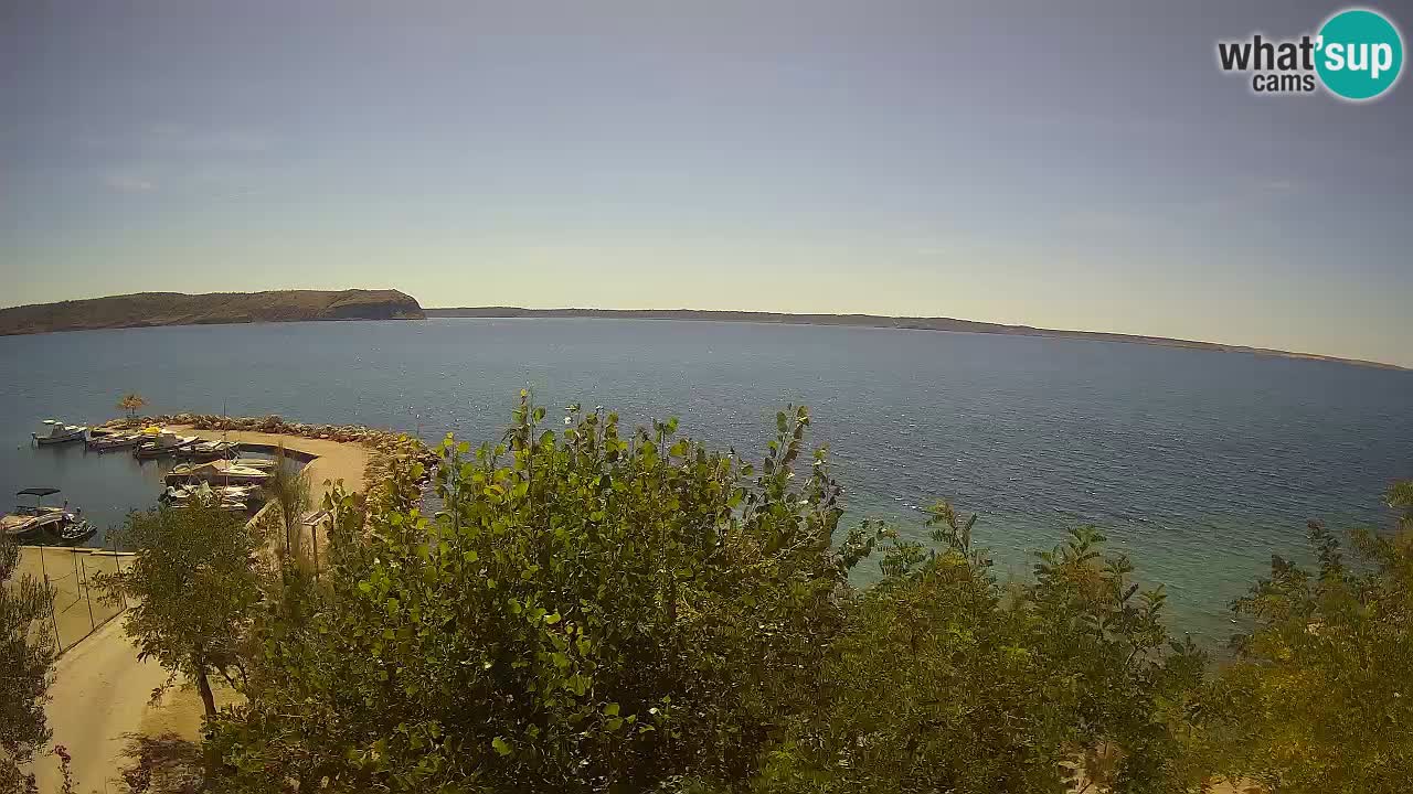 Kamp Odmoree spletna kamera Ražanac – Dalmacija