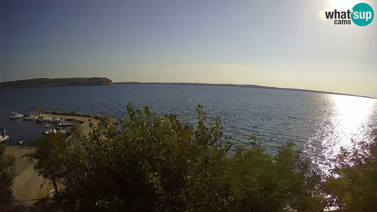 Camping Odmoree camera en vivo Ražanac – Dalmacia
