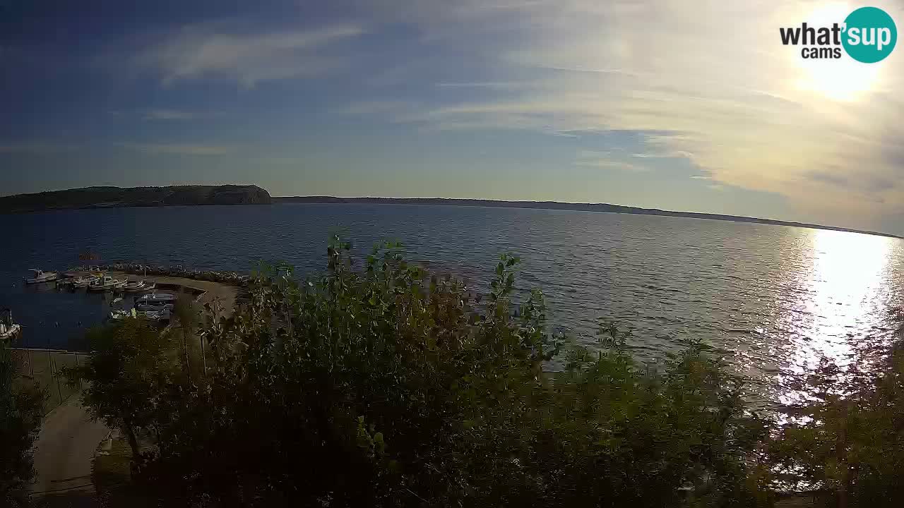 Kamp Odmoree spletna kamera Ražanac – Dalmacija