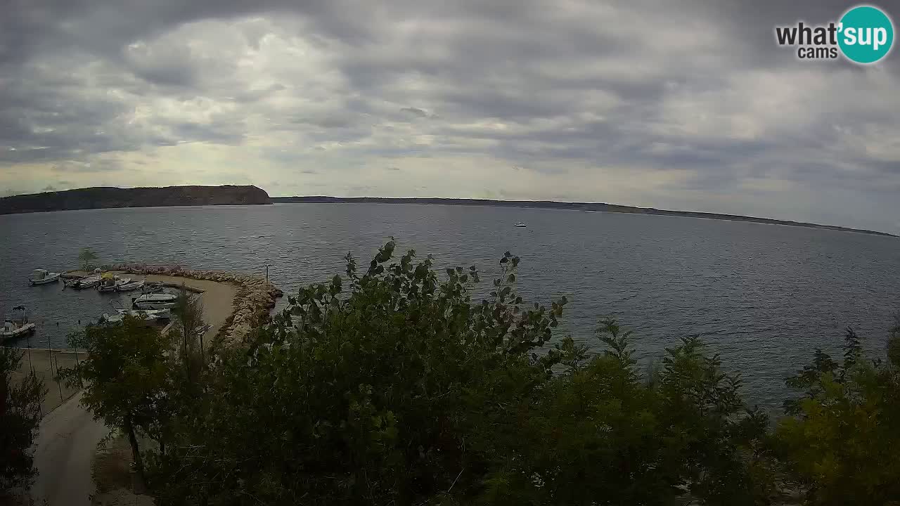 Kamp Odmoree spletna kamera Ražanac – Dalmacija