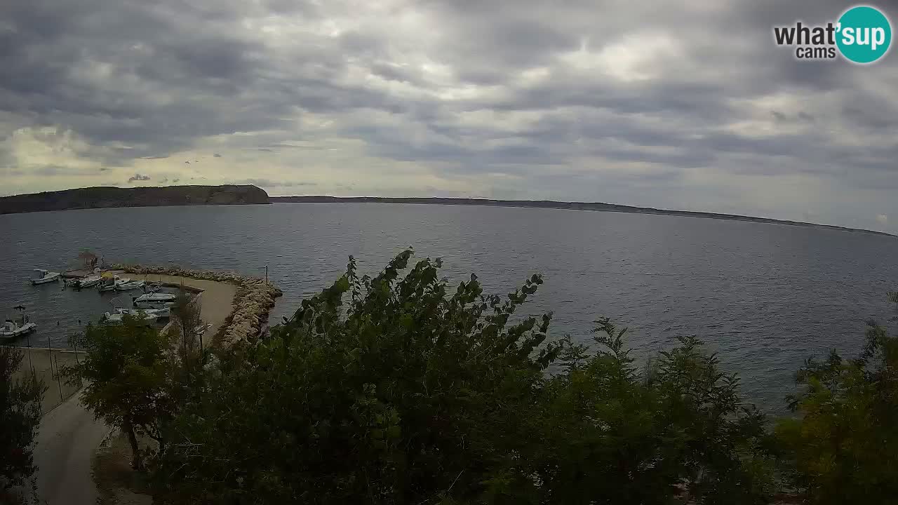 Kamp Odmoree spletna kamera Ražanac – Dalmacija