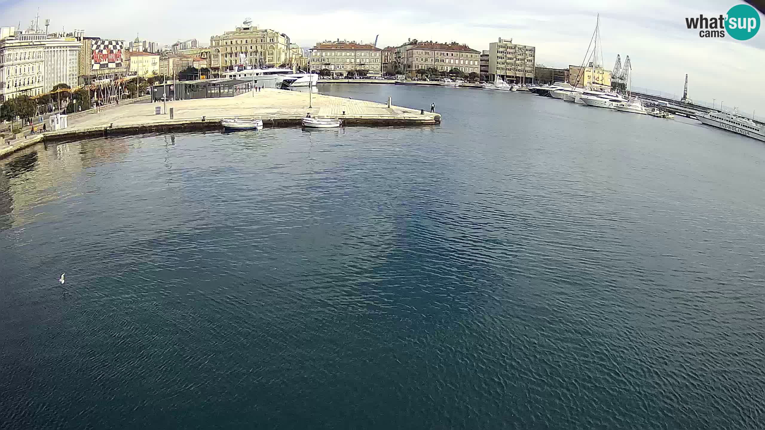 Botel Marina cámara web en vivo Rijeka