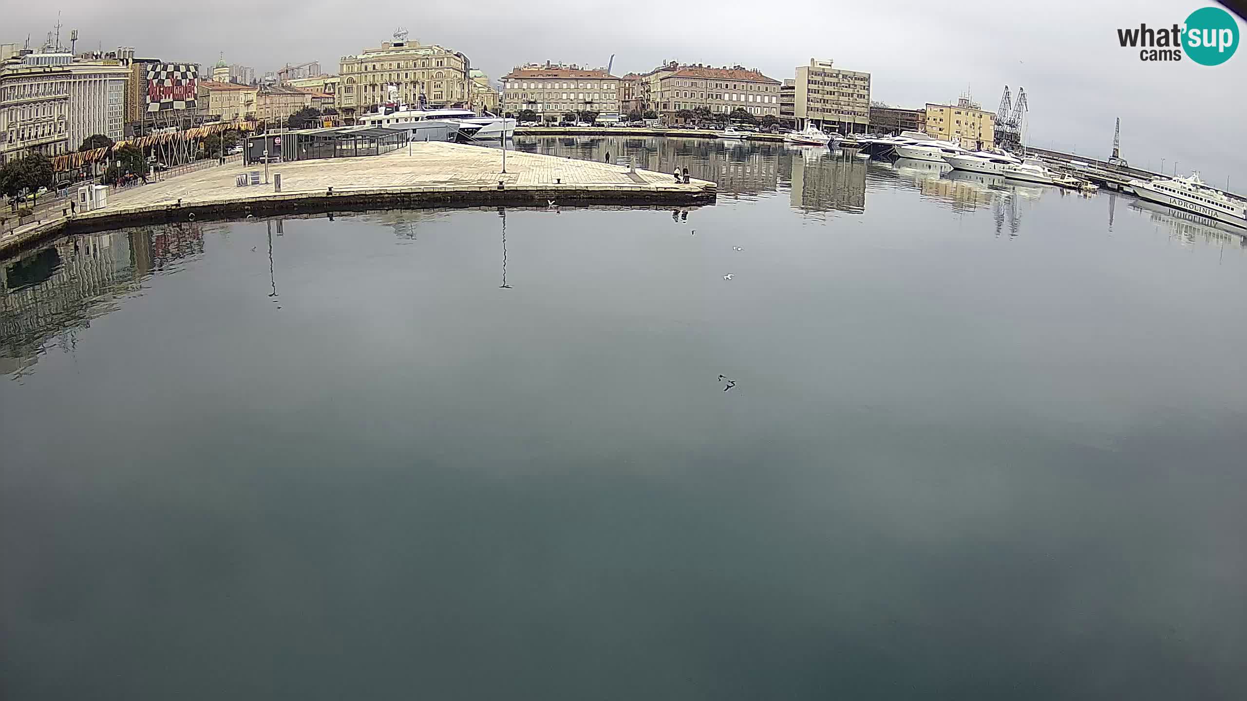 Botel Marina cámara web en vivo Rijeka