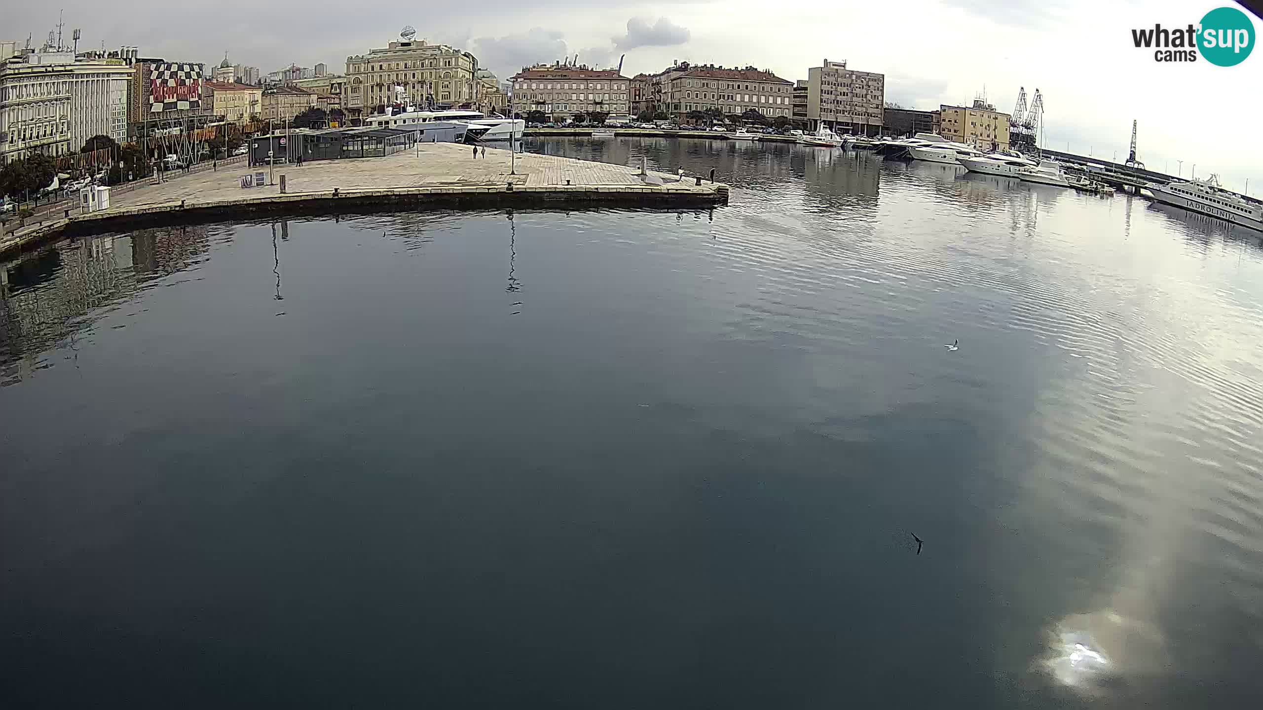 Reka – Botel Marina spletna kamera