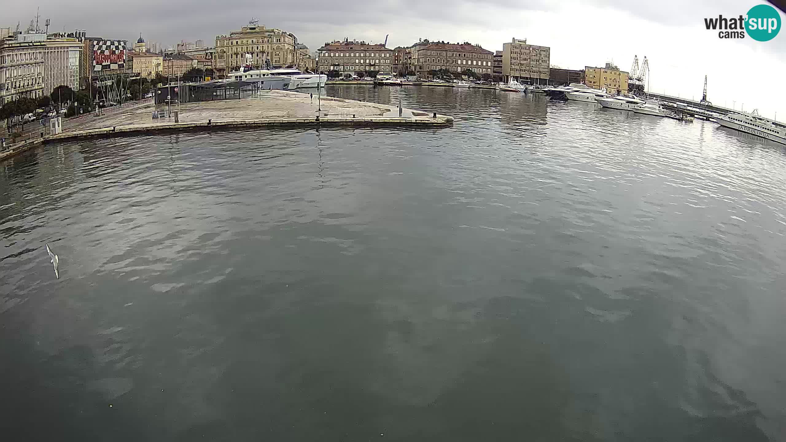 Botel Marina – Rijeka live cam