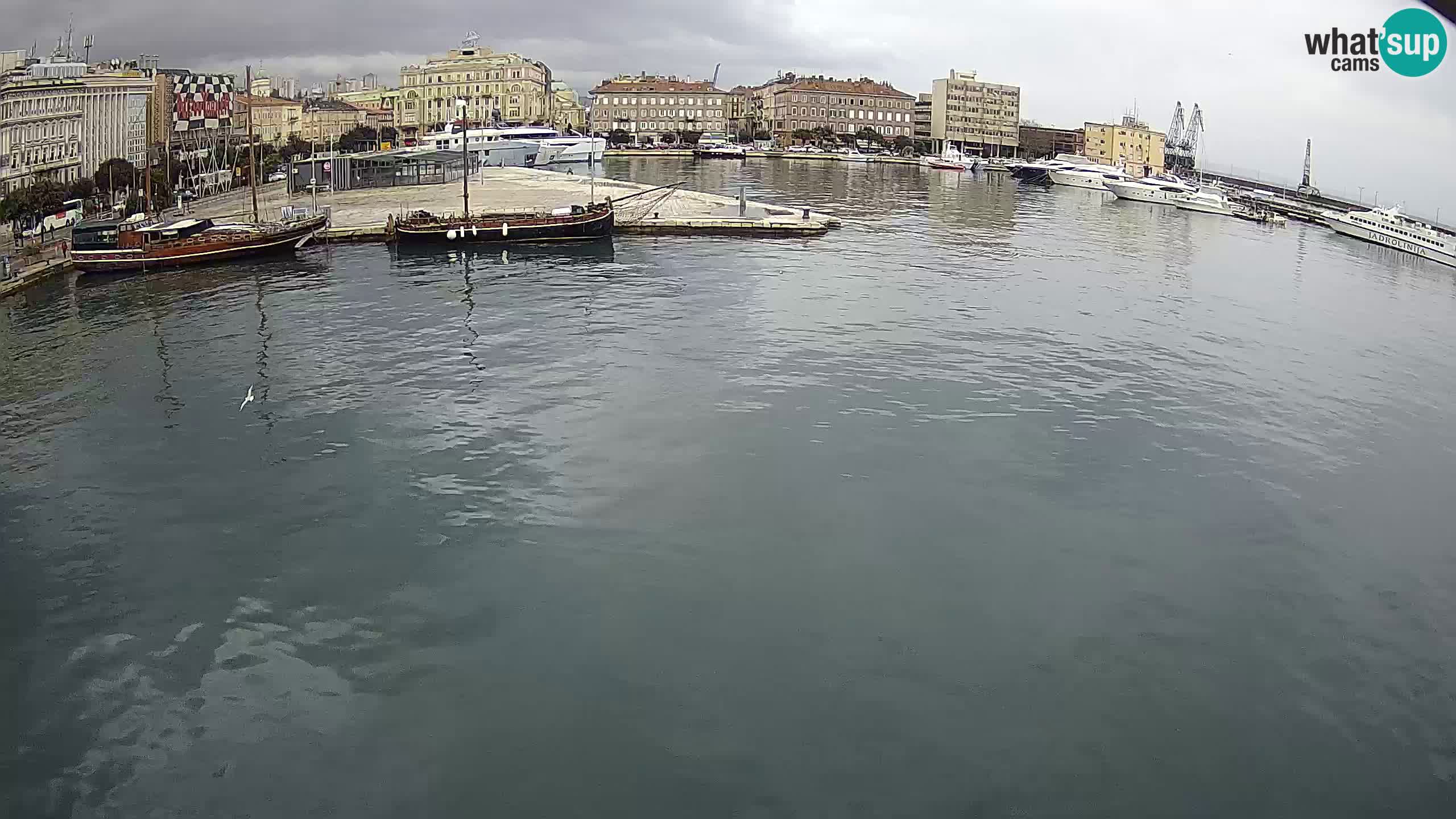 Rijeka – Botel Marina webcam en direct